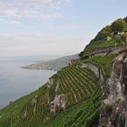 vignoble Suisse