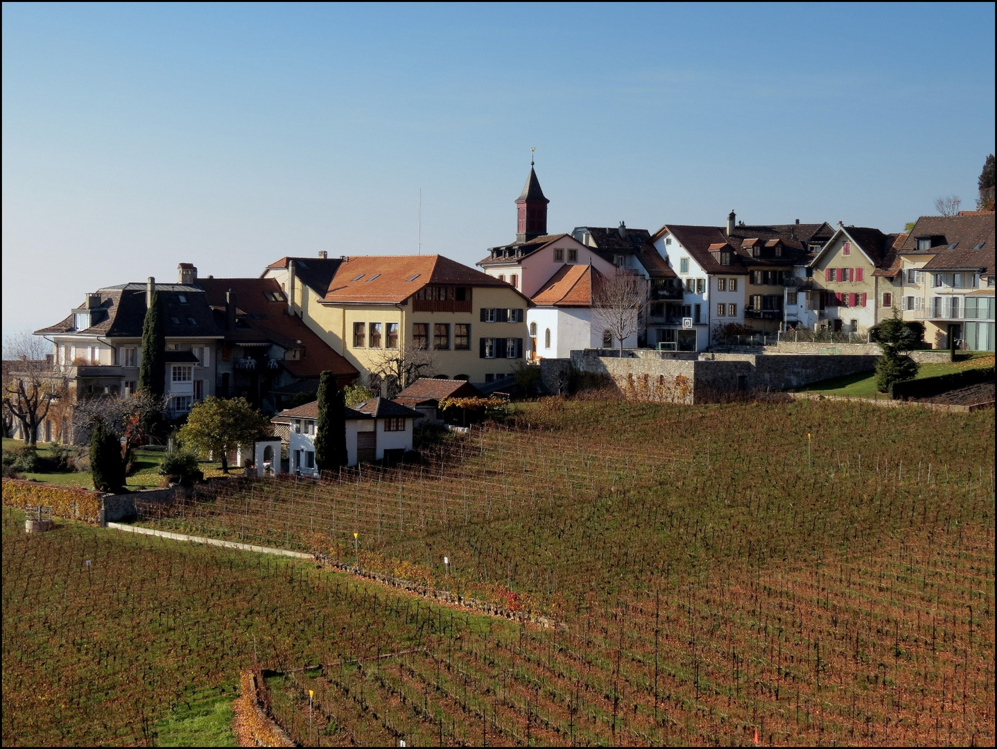 Vignobles de Lavaux (CH)