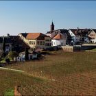 Vignobles de Lavaux (CH)