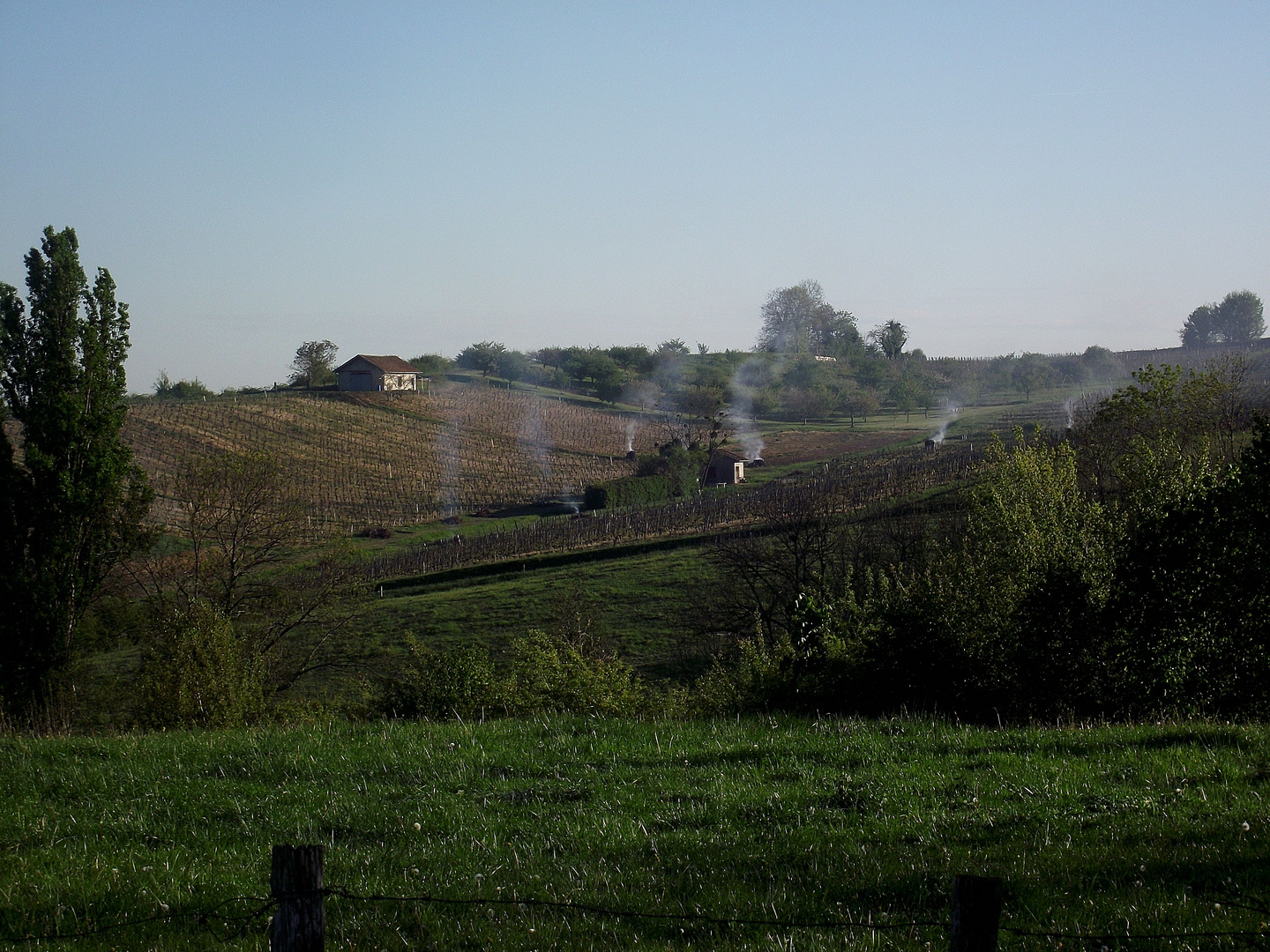 VIGNOBLES JURASSIEN EN DANGER