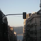 vigo_01