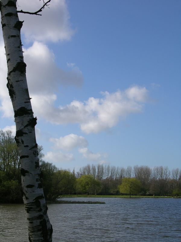 Vijfhoekpark, februari 2005