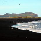 Vik black sand beach, south Iceland