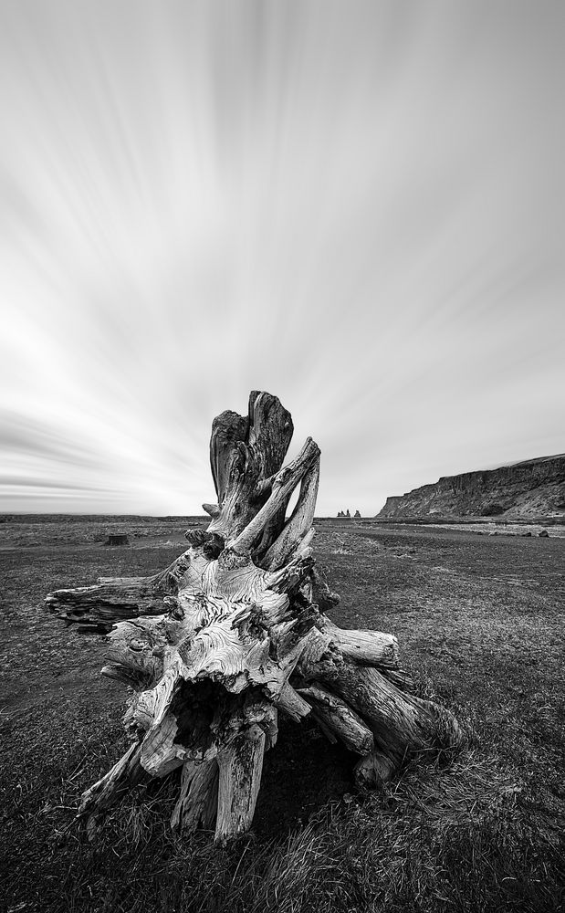 Vik - der Blick zum Strand