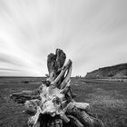 Vik - der Blick zum Strand