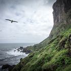 vik i myrdal / iceland