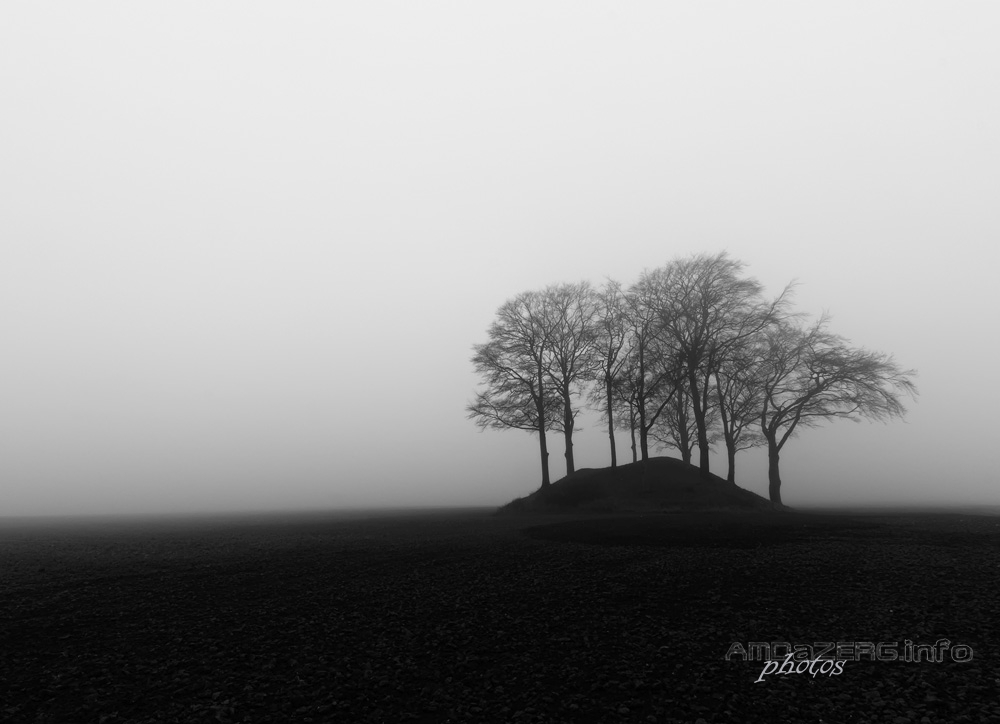 Viking cemetery in Svenstorp