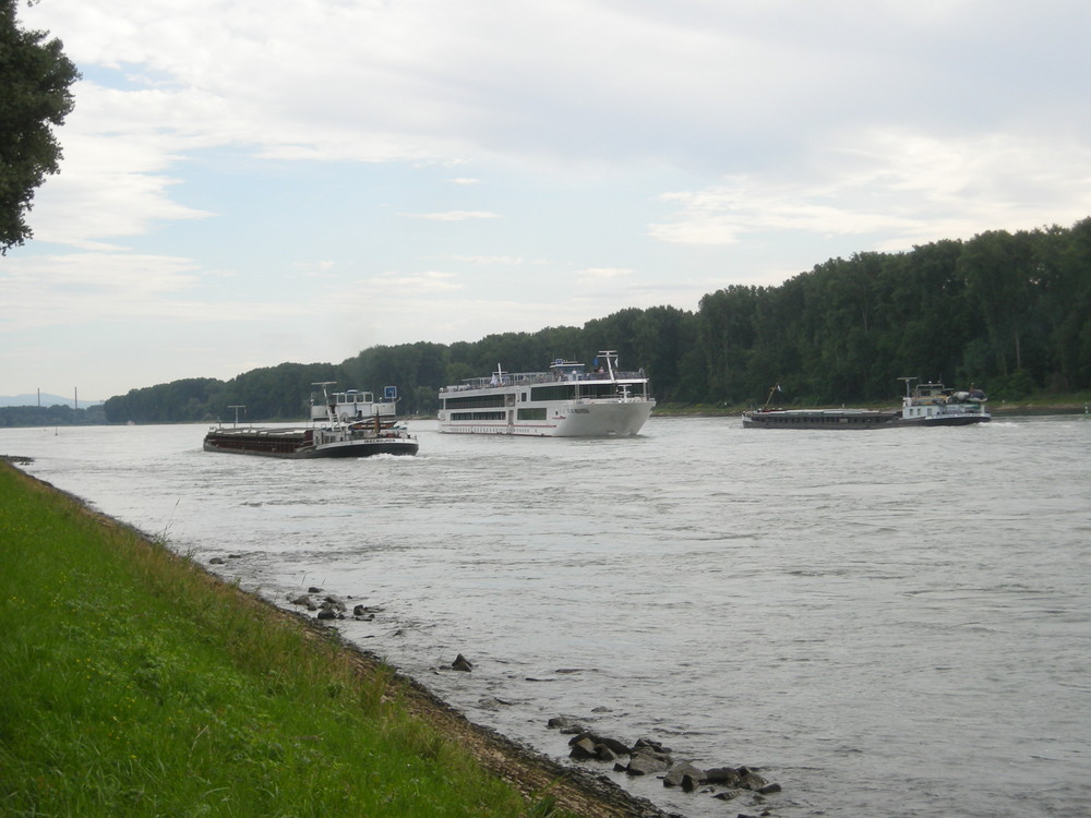 Viking Helvetia auf dem Rhein bei Karlsruhe