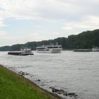 Viking Helvetia auf dem Rhein bei Karlsruhe