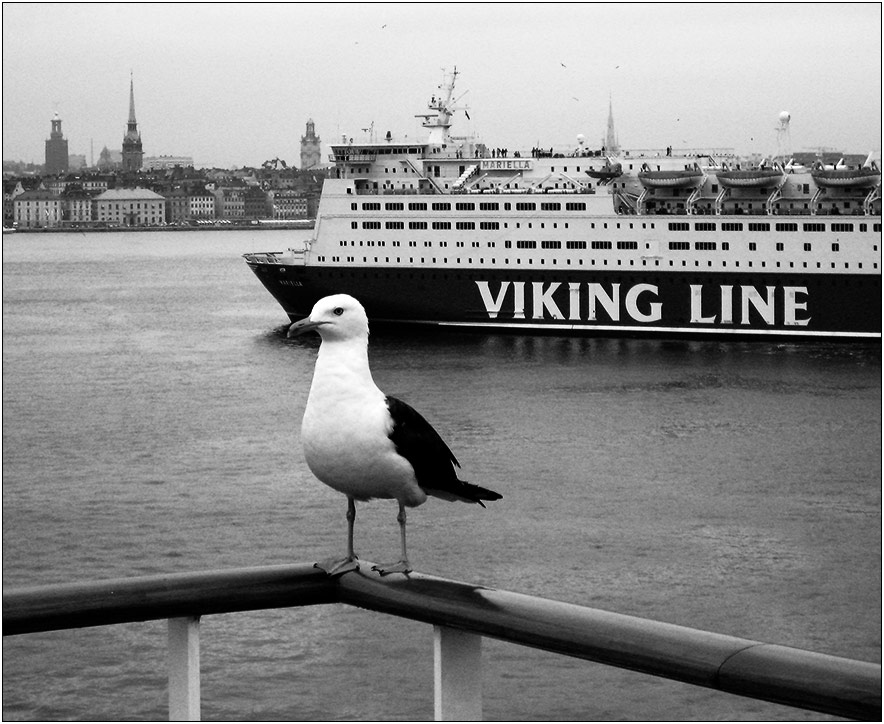 Viking Line