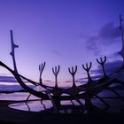 Viking-ship in Reykjavik (Island)