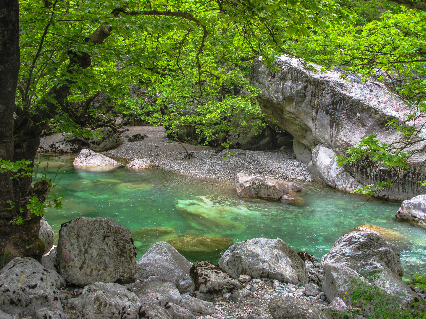 Vikos-Schlucht (Griechenland)