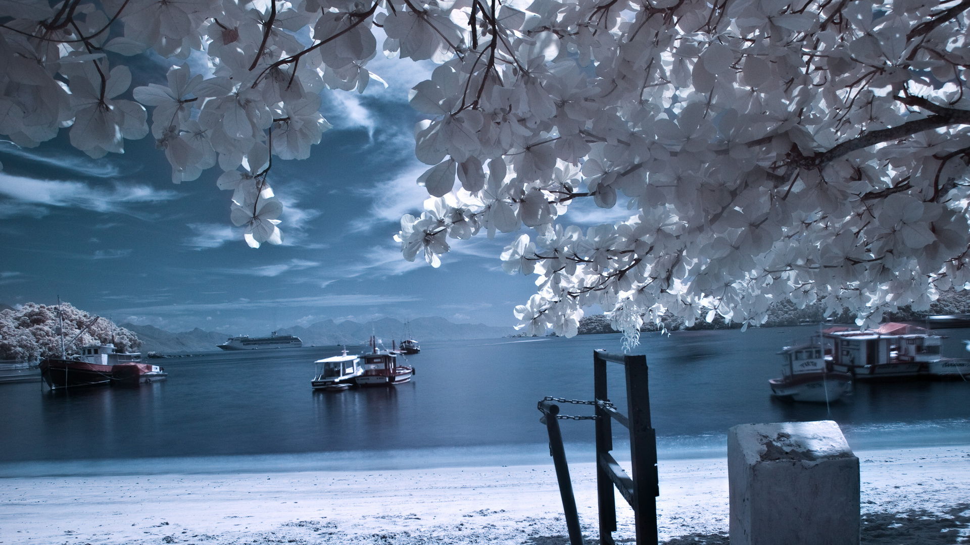 Vila do Abraão, Ilha Grande, Rio De Janeiro, Brazil - Praia Infrared