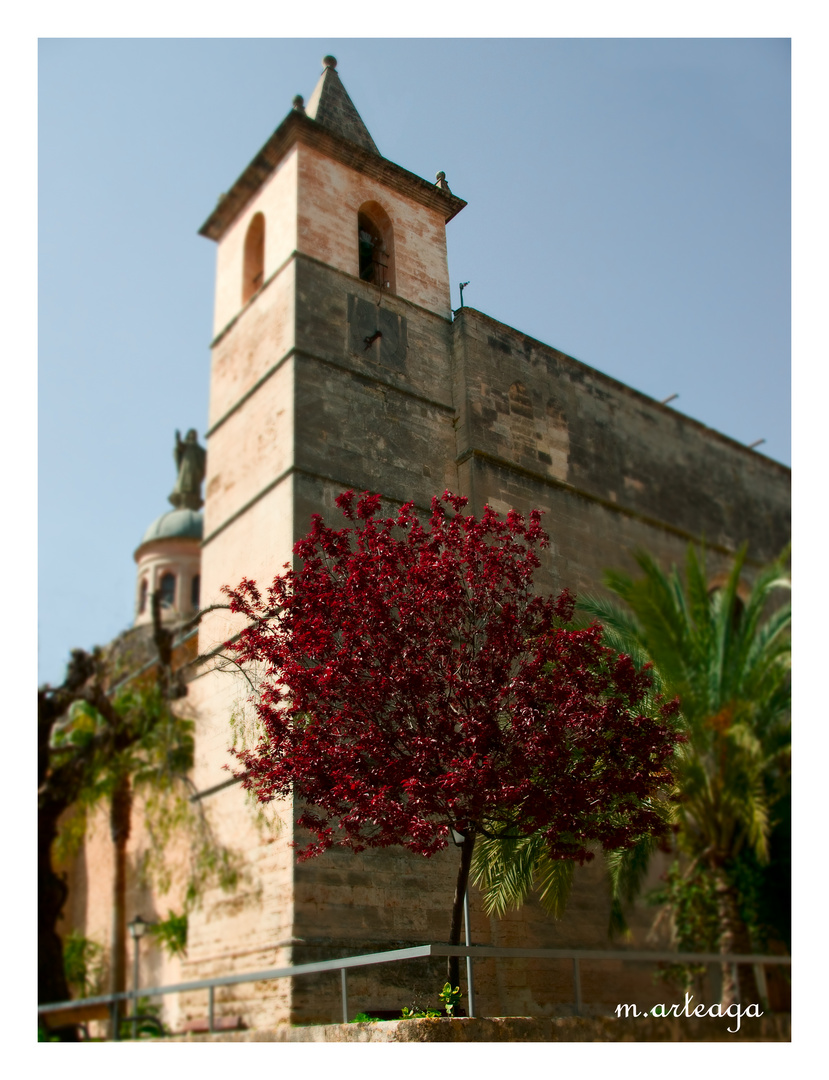 vilafranca de bonany