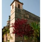 vilafranca de bonany