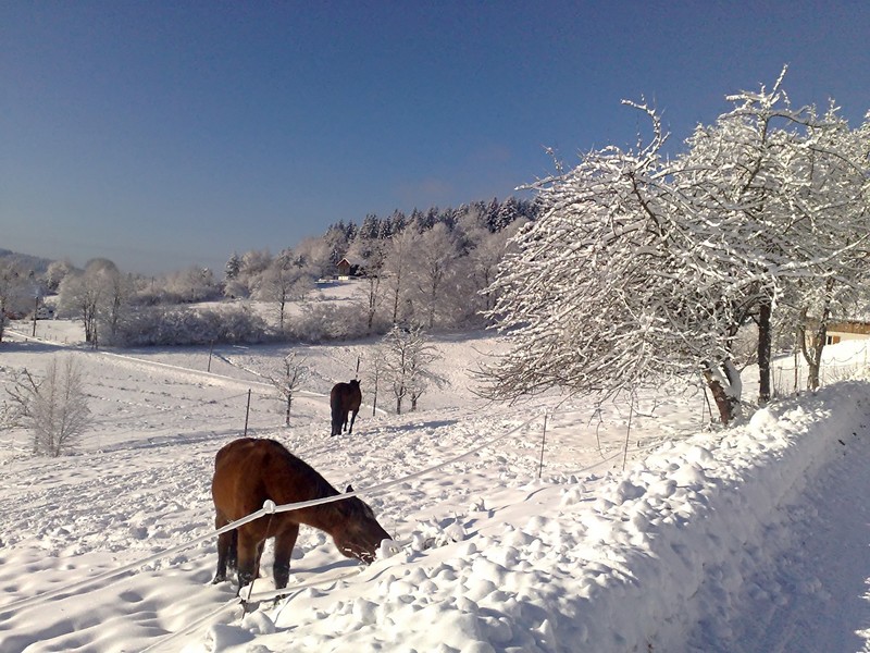 Vilage de Liezey, Vosges