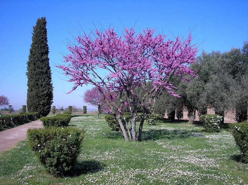 Villa Adriana