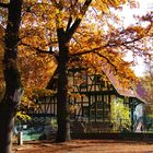 Villa am herbstlichen Wannsee