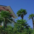 Villa am Strand von San Benedetto