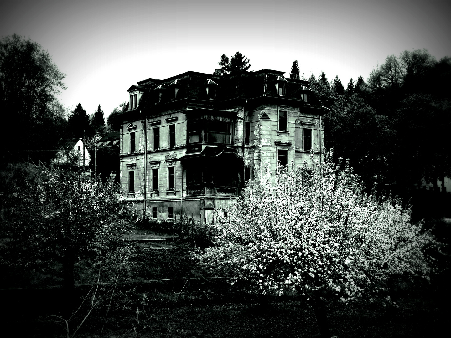 Villa an der Göltzschtal-Brücke