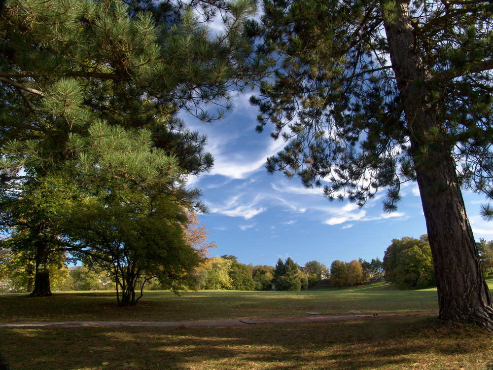 Villa Bergfried und Park 03