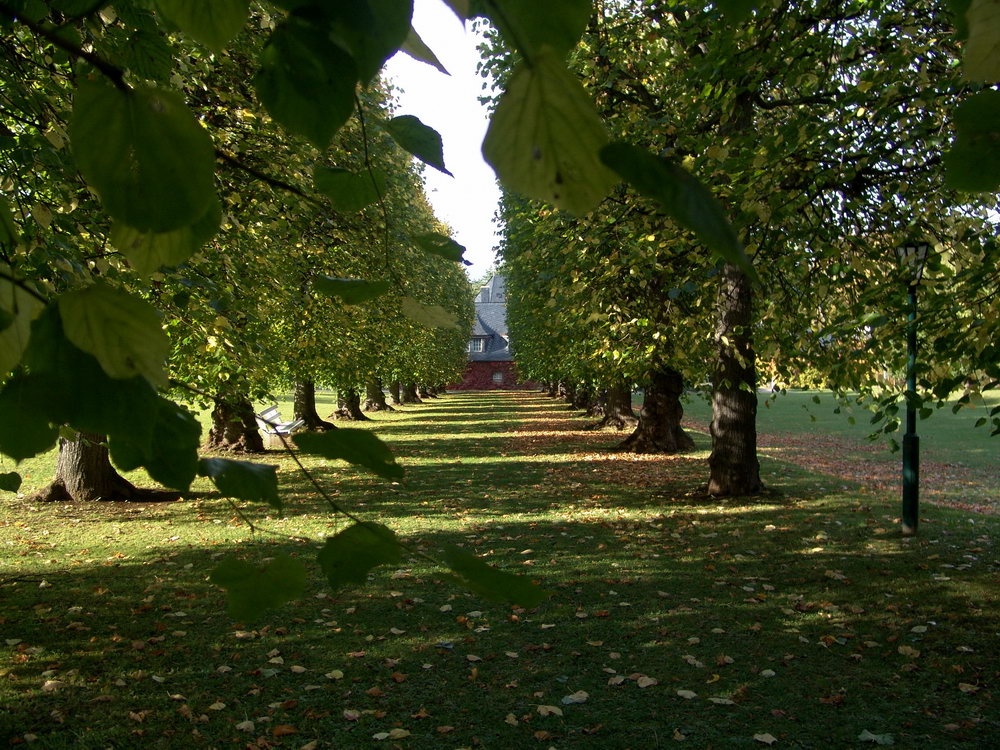 Villa Bergfried und Park 06