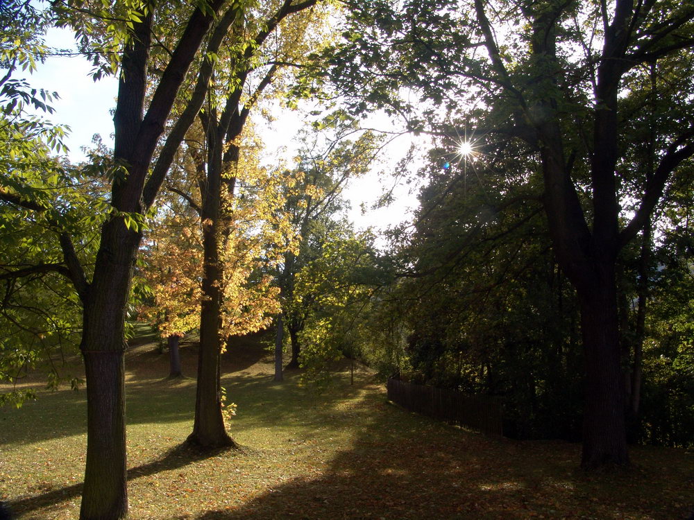 Villa Bergfried und Park 10