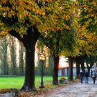 Villa Castelbarco, si torna a casa