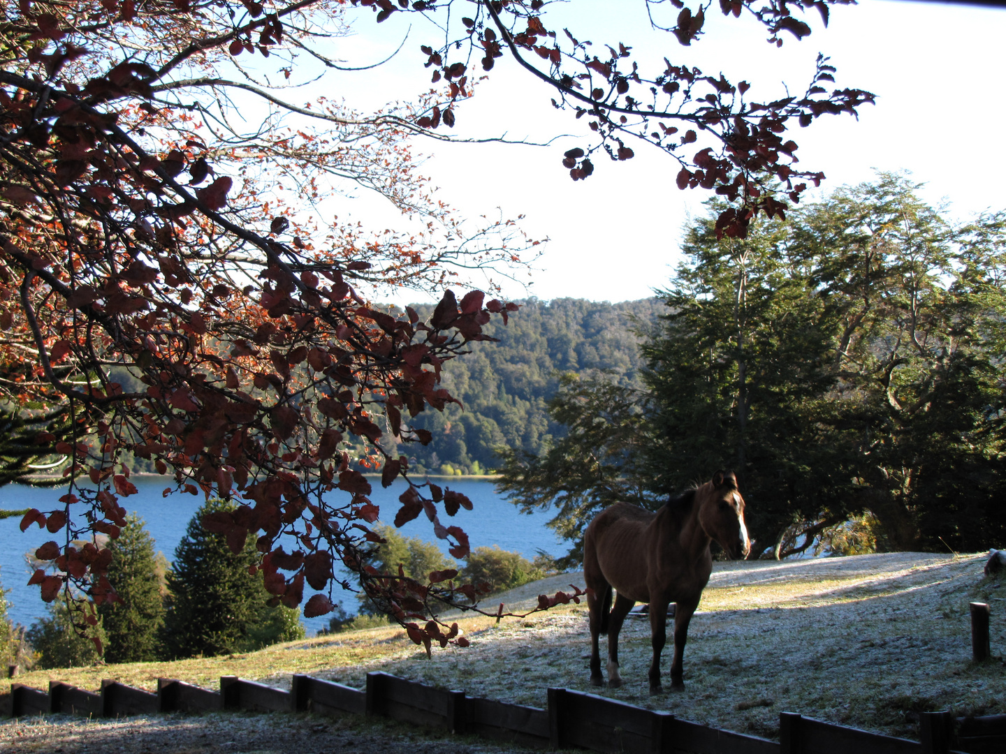 Villa de la Angostura Lago Correntoso