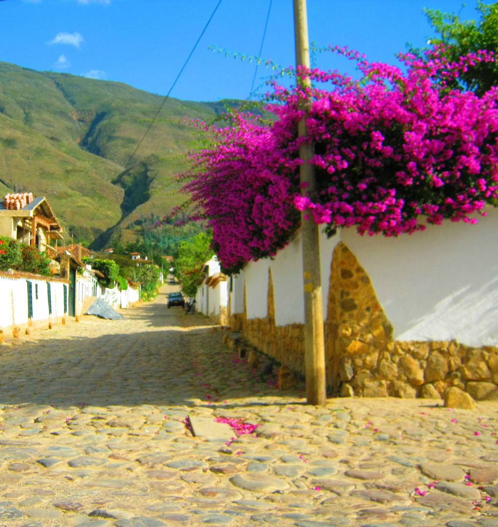 Villa de Leyva