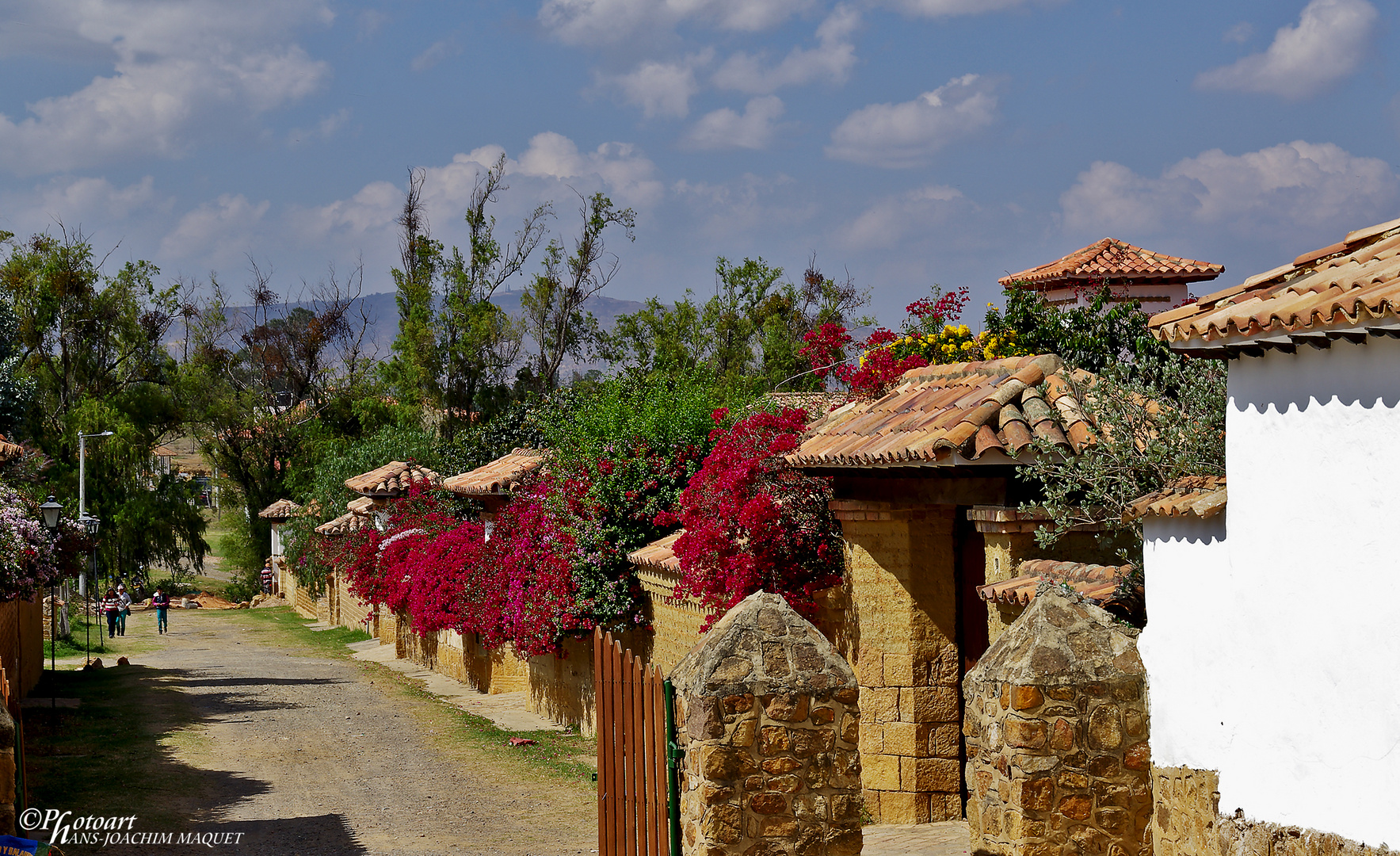 Villa de Leyva - Bougainvillea - Street