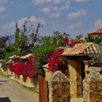 Villa de Leyva - Bougainvillea - Street