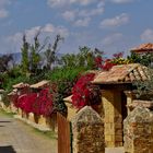 Villa de Leyva - Bougainvillea - Street