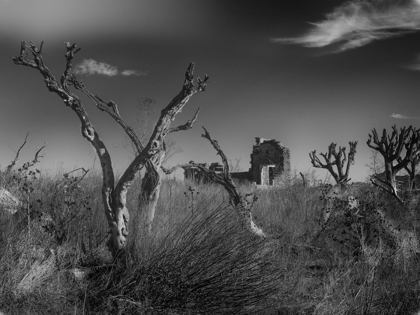 Villa Epecuen