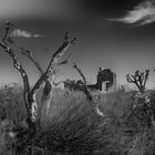 Villa Epecuen