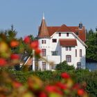 Villa Hoheneck im Dornröschenschlaf.....