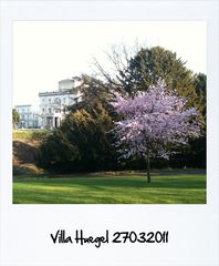 Villa Hügel 27.03.2011