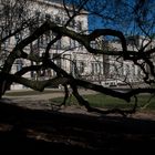 Villa Hügel in Essen durch die Magnolien fotografiert