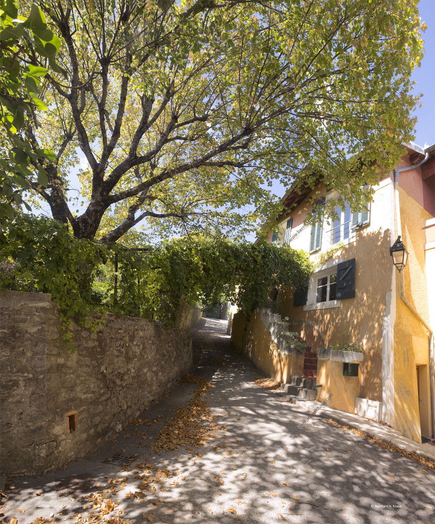 Villa im Laub, Vitrolles-en-Luberon