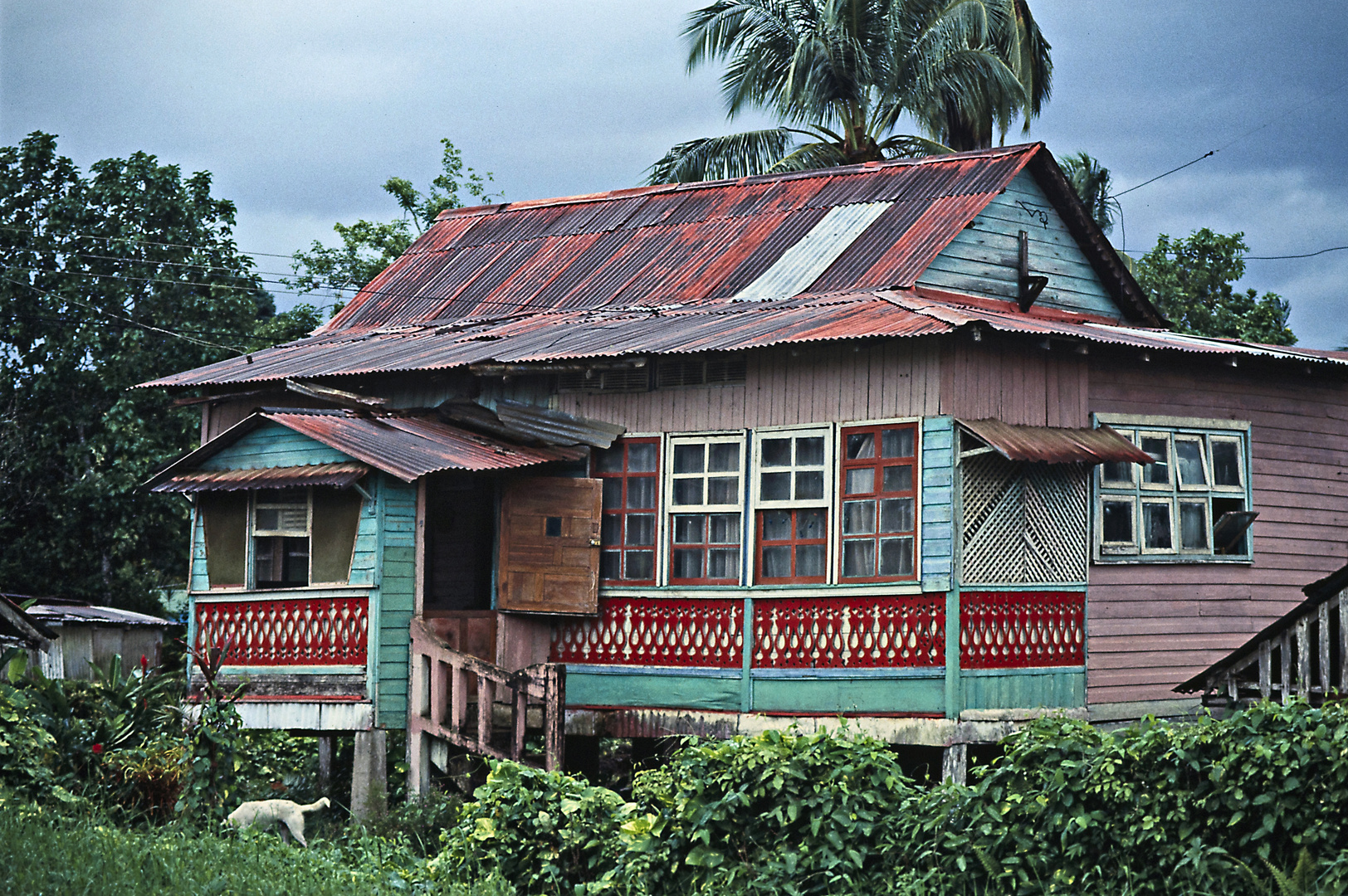 Villa in Cahuita 