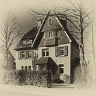 Villa in Cronenberg