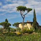 Villa in der Toscana