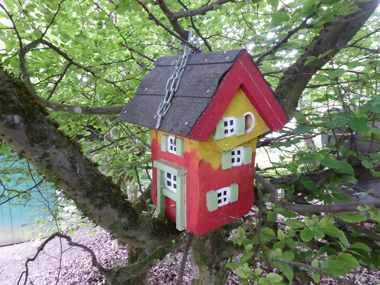Sprüche Bilder Villa Kunterbunt Sprüche Bilder Kostenlos Villa Kunterbunt... Foto & Bild | natur, spezial, dokumentation Bilder