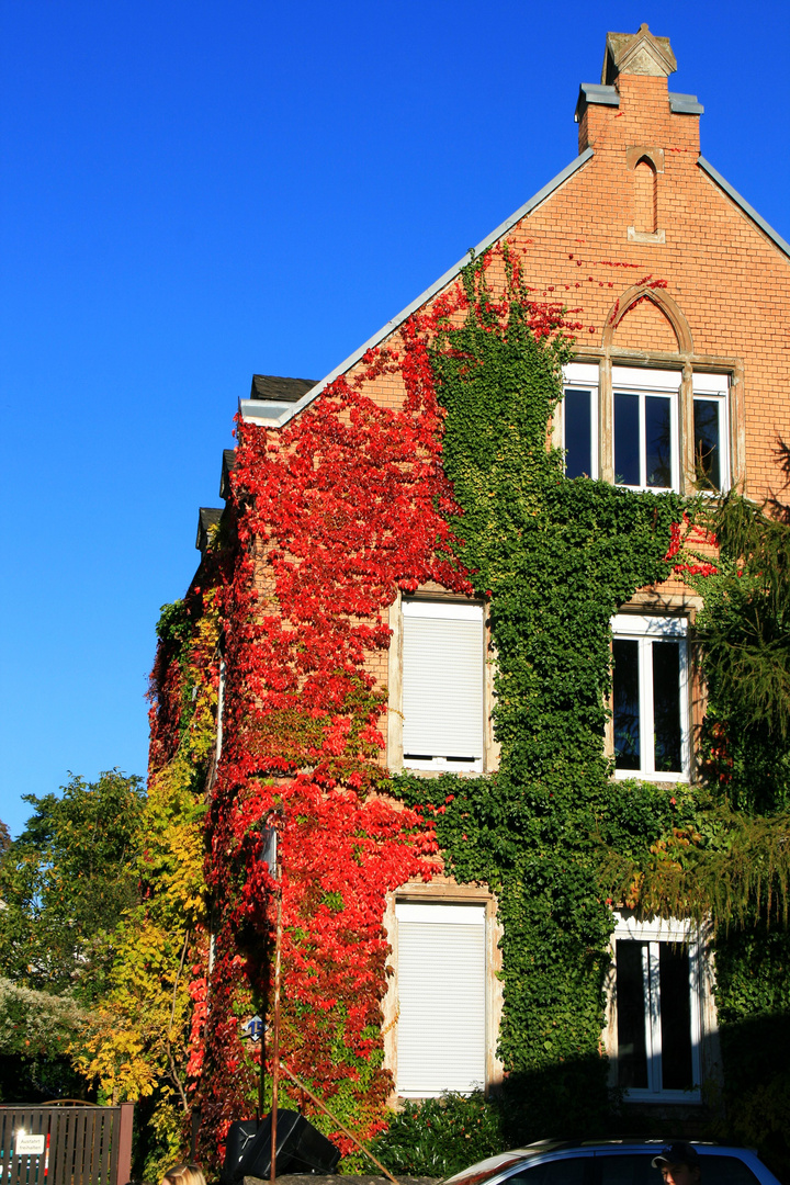 Villa Kunterbunt