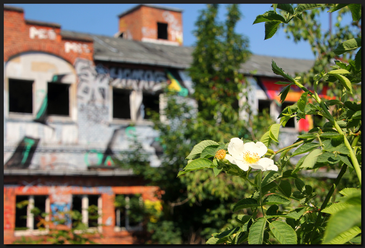 ...Villa Kunterbunt...