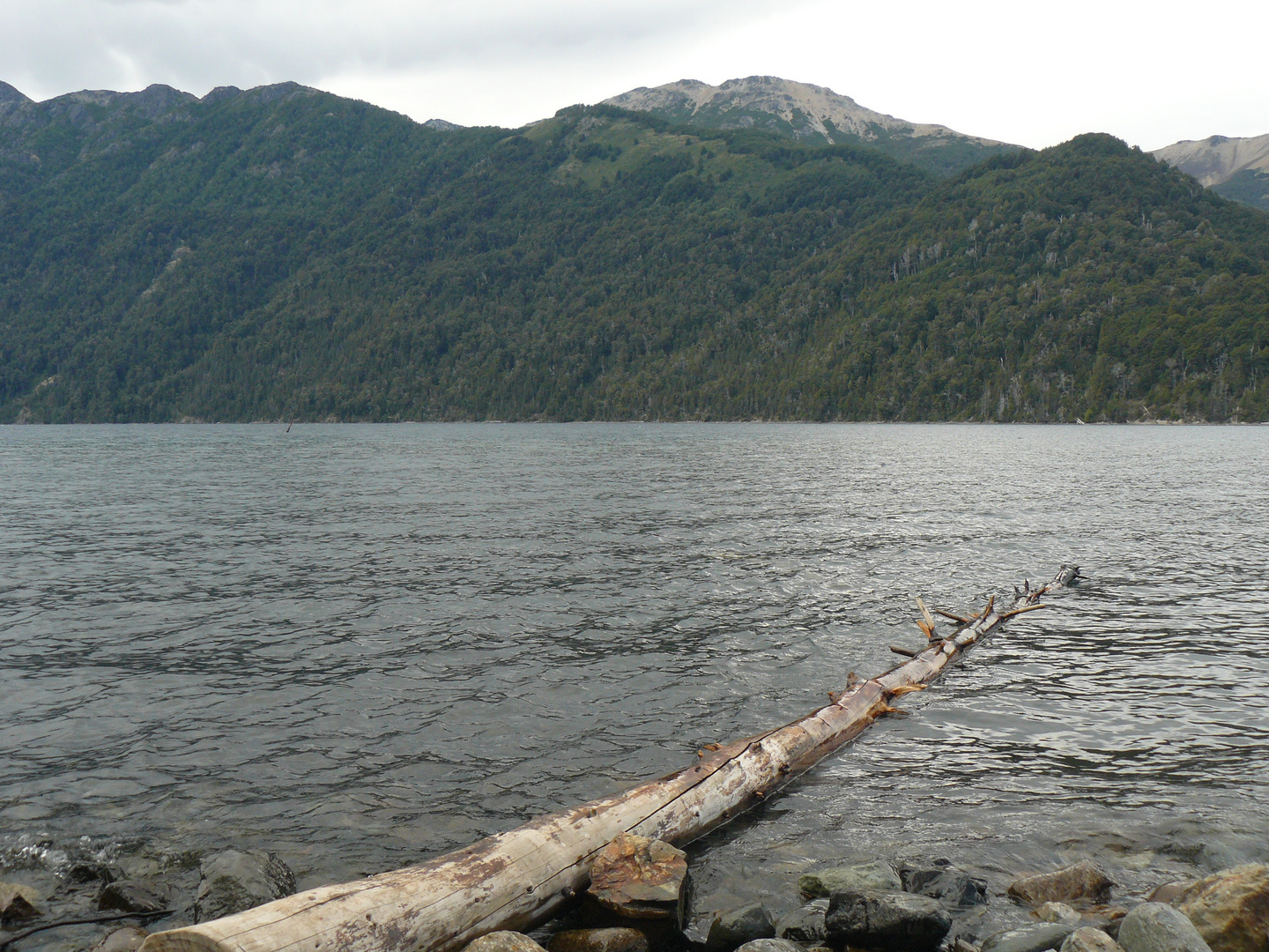 villa la angostura- Patagonia -lago nahuel huapi