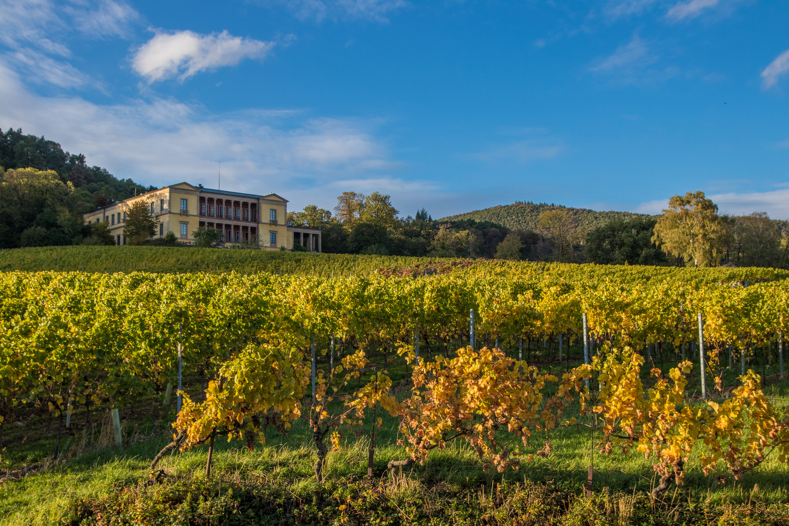 Villa Ludwigshöhe im Herbst