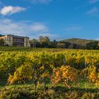 Villa Ludwigshöhe im Herbst