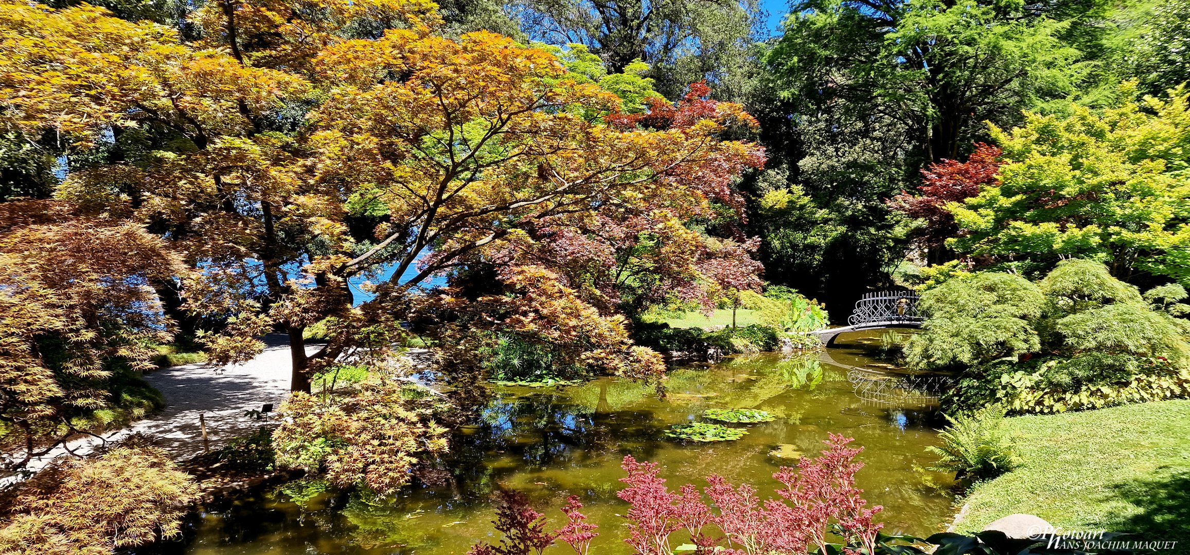 Villa Melzi - Teich im japanischen Stil