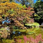 Villa Melzi - Teich im japanischen Stil